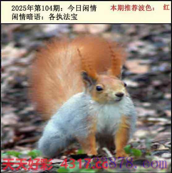 图片加载中...