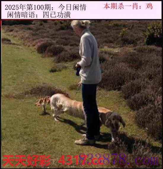 图片加载中...