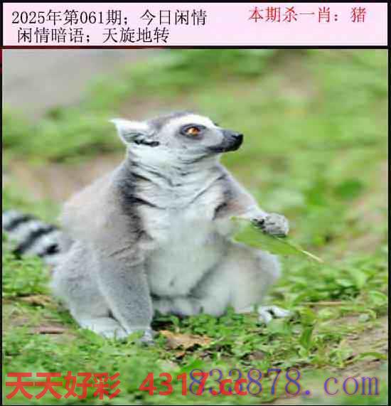 图片加载中...