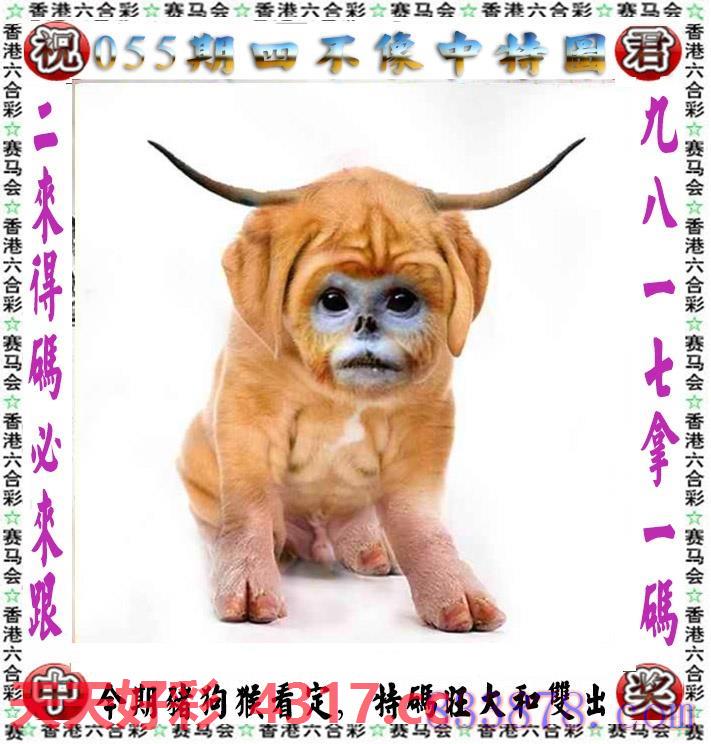 图片加载中...