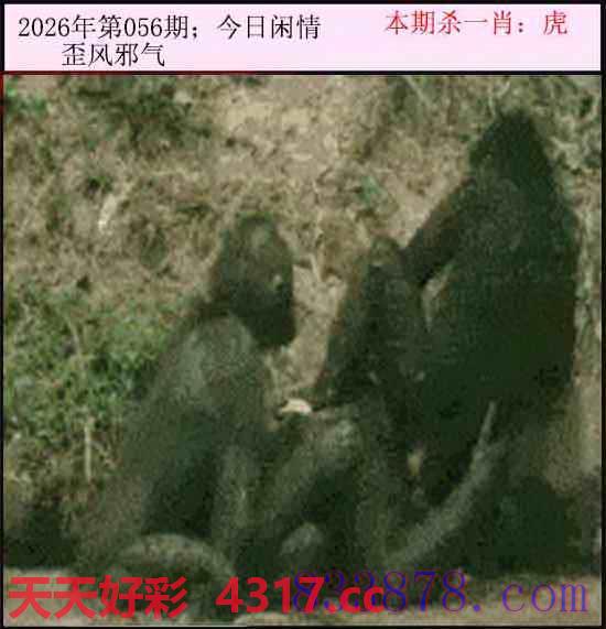 图片加载中...