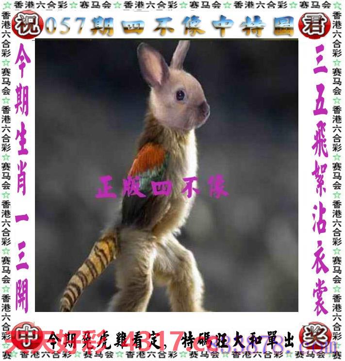 图片加载中...