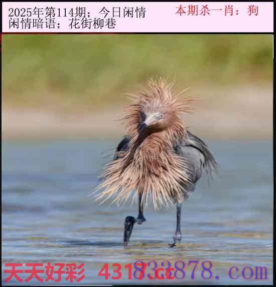 图片加载中...