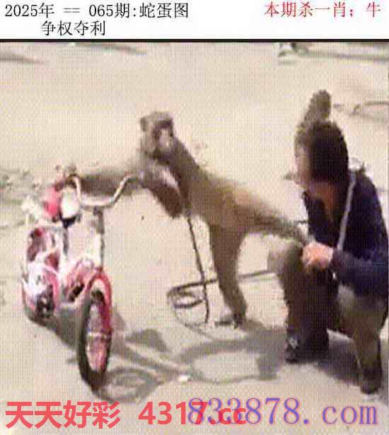 图片加载中...