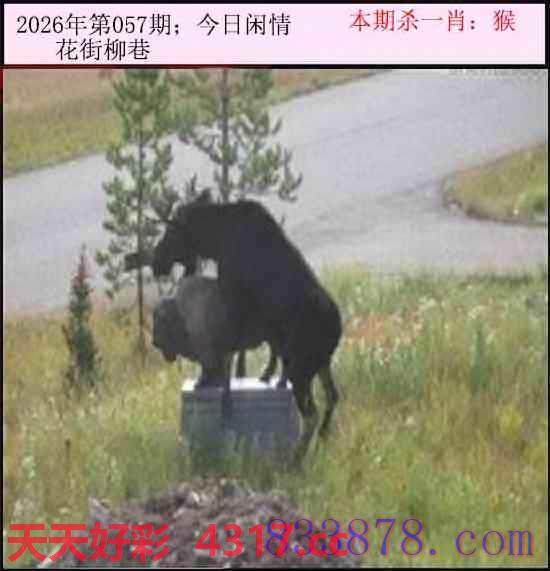 图片加载中...
