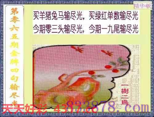 图片加载中...