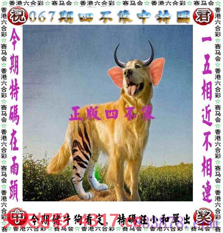 图片加载中...