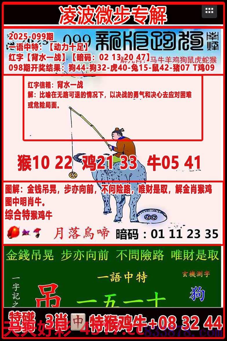图片加载中...