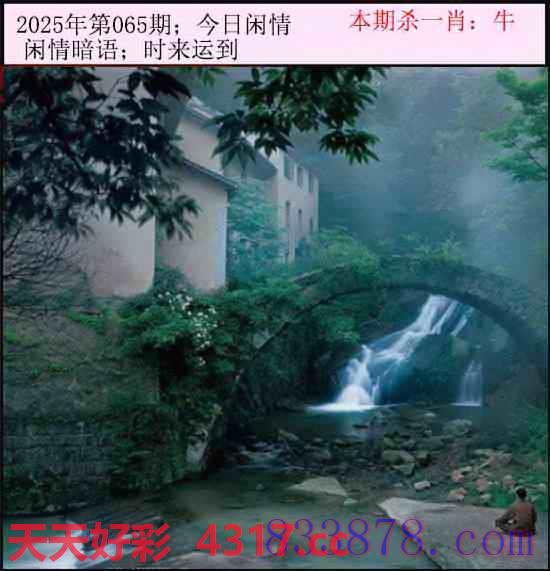 图片加载中...