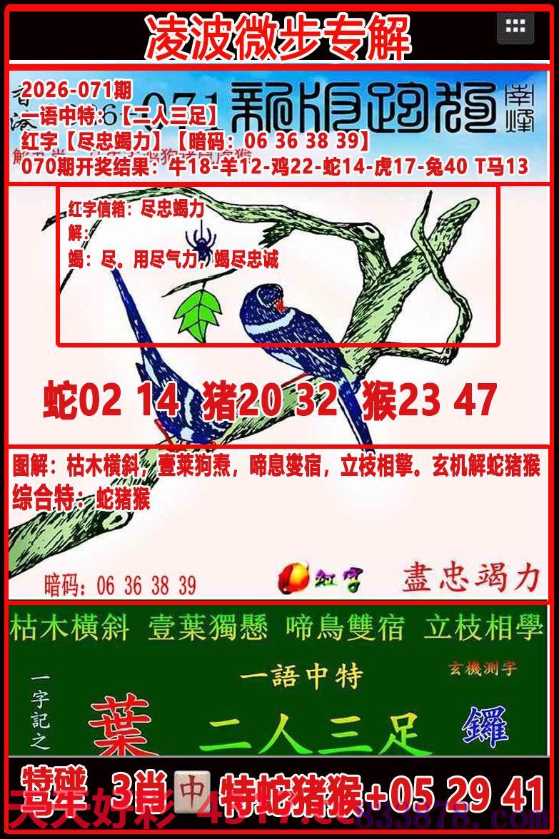 图片加载中...