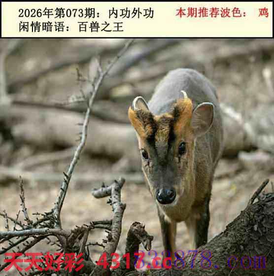 图片加载中...