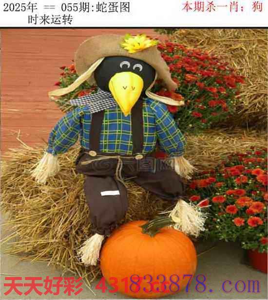 图片加载中...