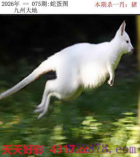 图片加载中...