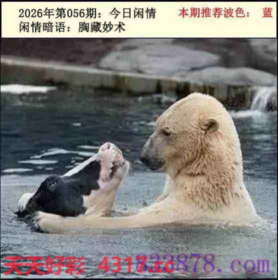 图片加载中...