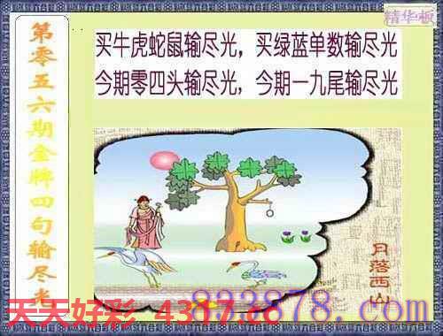 图片加载中...