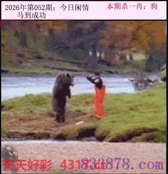 图片加载中...
