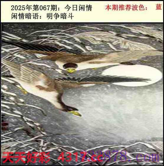 图片加载中...