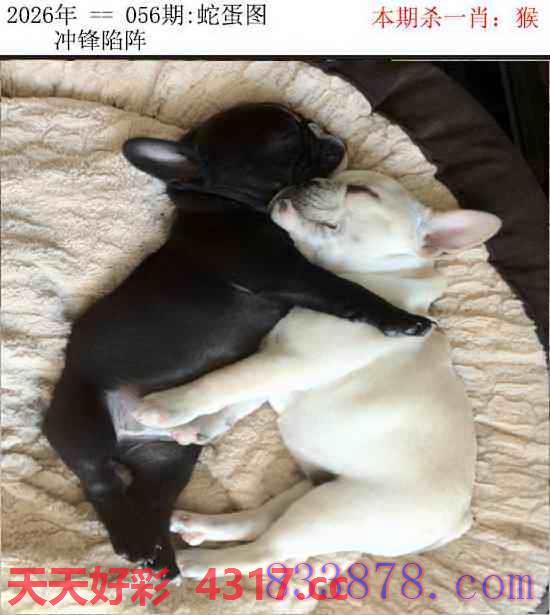 图片加载中...