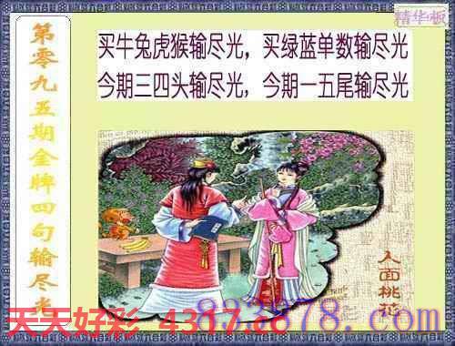 图片加载中...