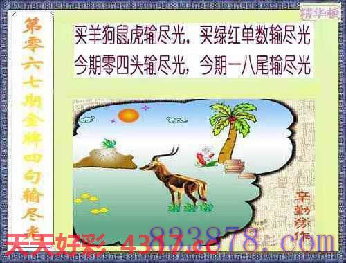 图片加载中...