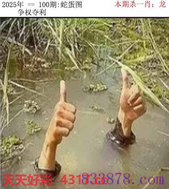 图片加载中...