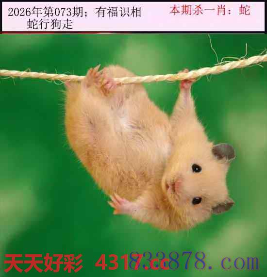 图片加载中...