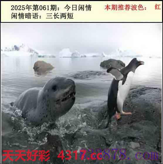 图片加载中...