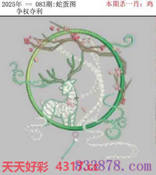 图片加载中...