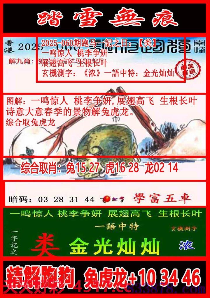 图片加载中...