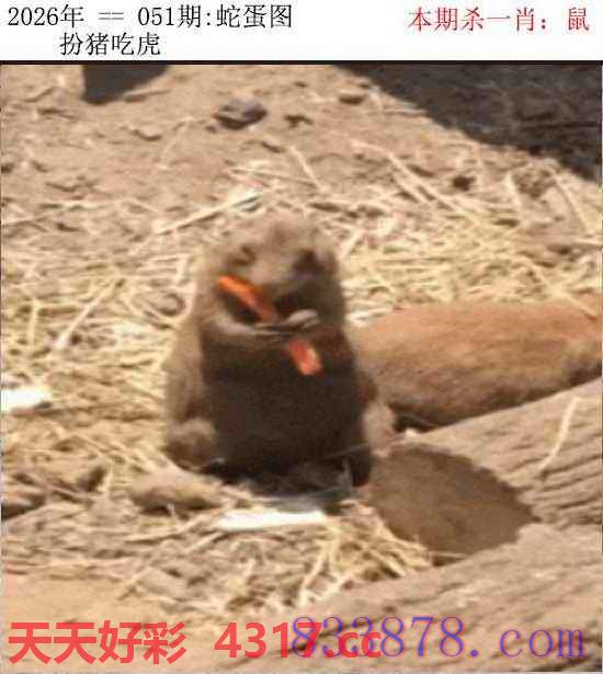图片加载中...
