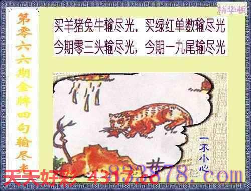 图片加载中...