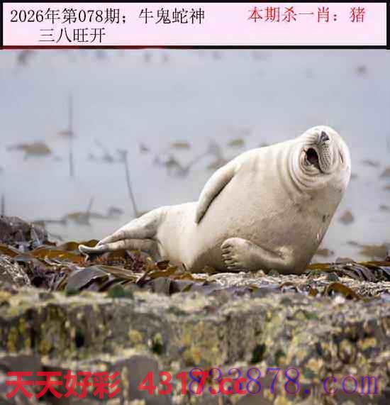图片加载中...
