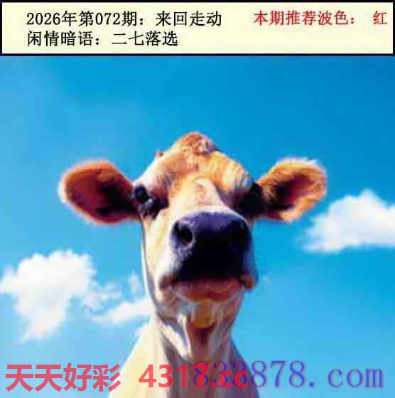 图片加载中...