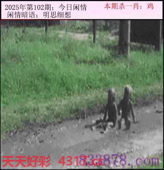 图片加载中...