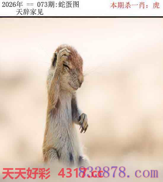 图片加载中...