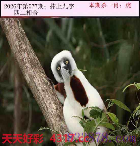 图片加载中...