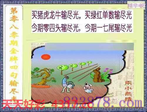 图片加载中...