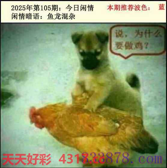 图片加载中...