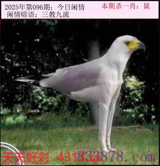 图片加载中...