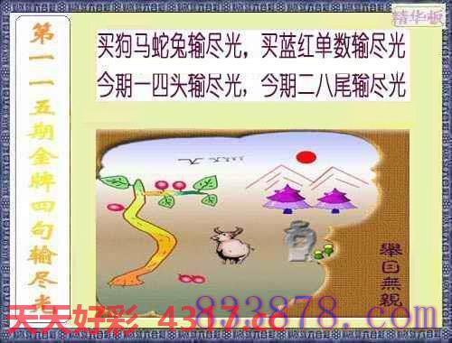 图片加载中...