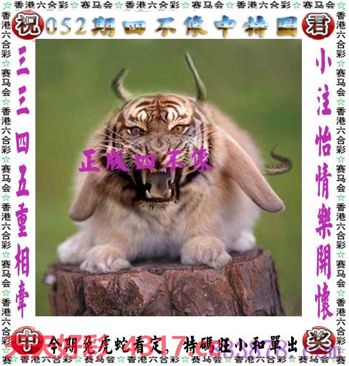 图片加载中...