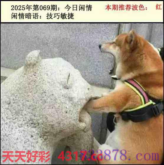 图片加载中...