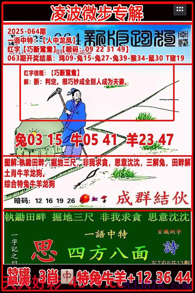 图片加载中...