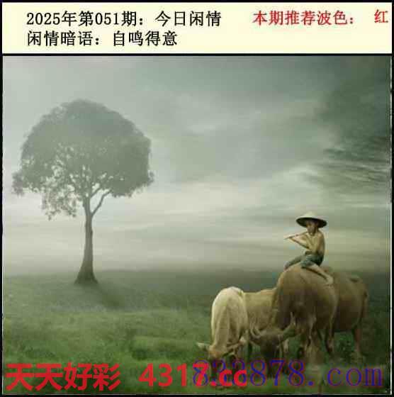 图片加载中...