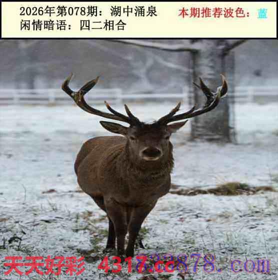 图片加载中...