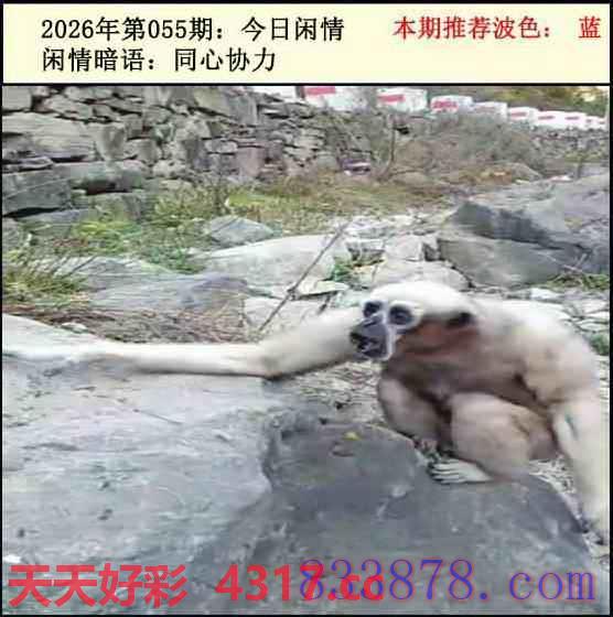 图片加载中...