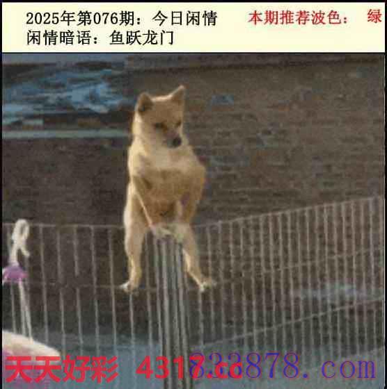图片加载中...