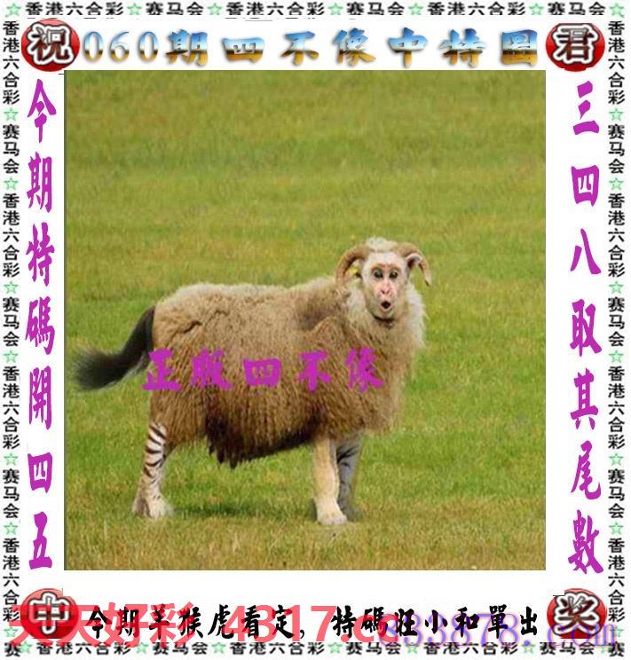 图片加载中...