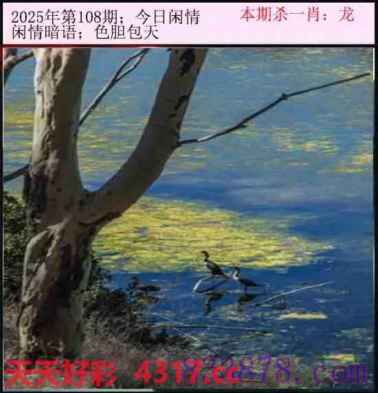 图片加载中...