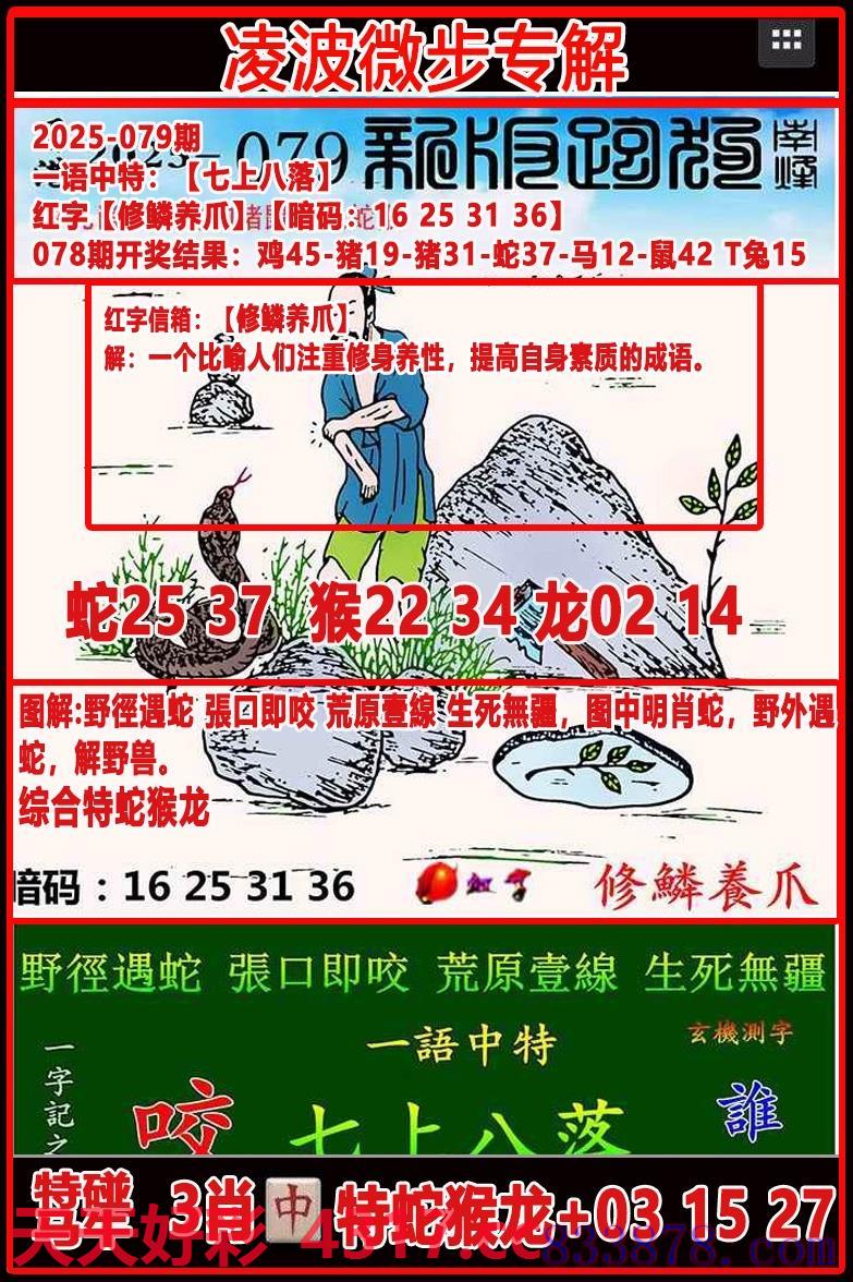 图片加载中...